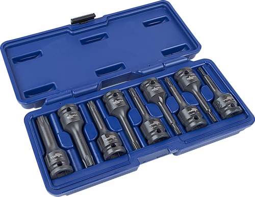 ASSORTIMENTO CHIAVI A BUSSOLA TORX DA 10 PZ.