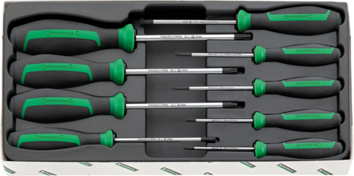 ASSORTIMENTO CACCIAVITI TORX CON FORO DA 9 PZ.