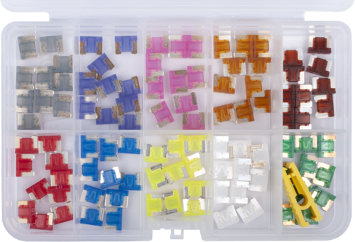 ASS.FUSIB. MINI LOW PROFILE  PZ.100