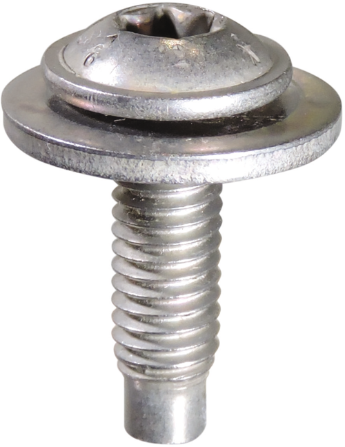 VITE D.6 MM FIX PORTELLONE SMART