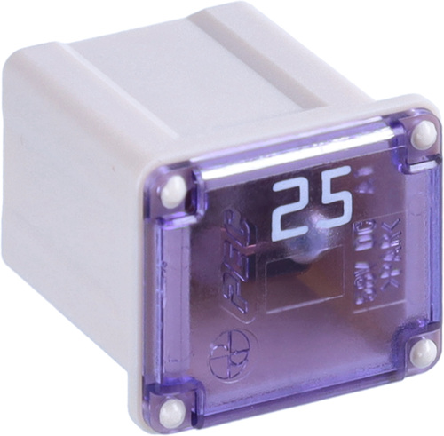 FUSIBILE SERIE JCASE 25 A